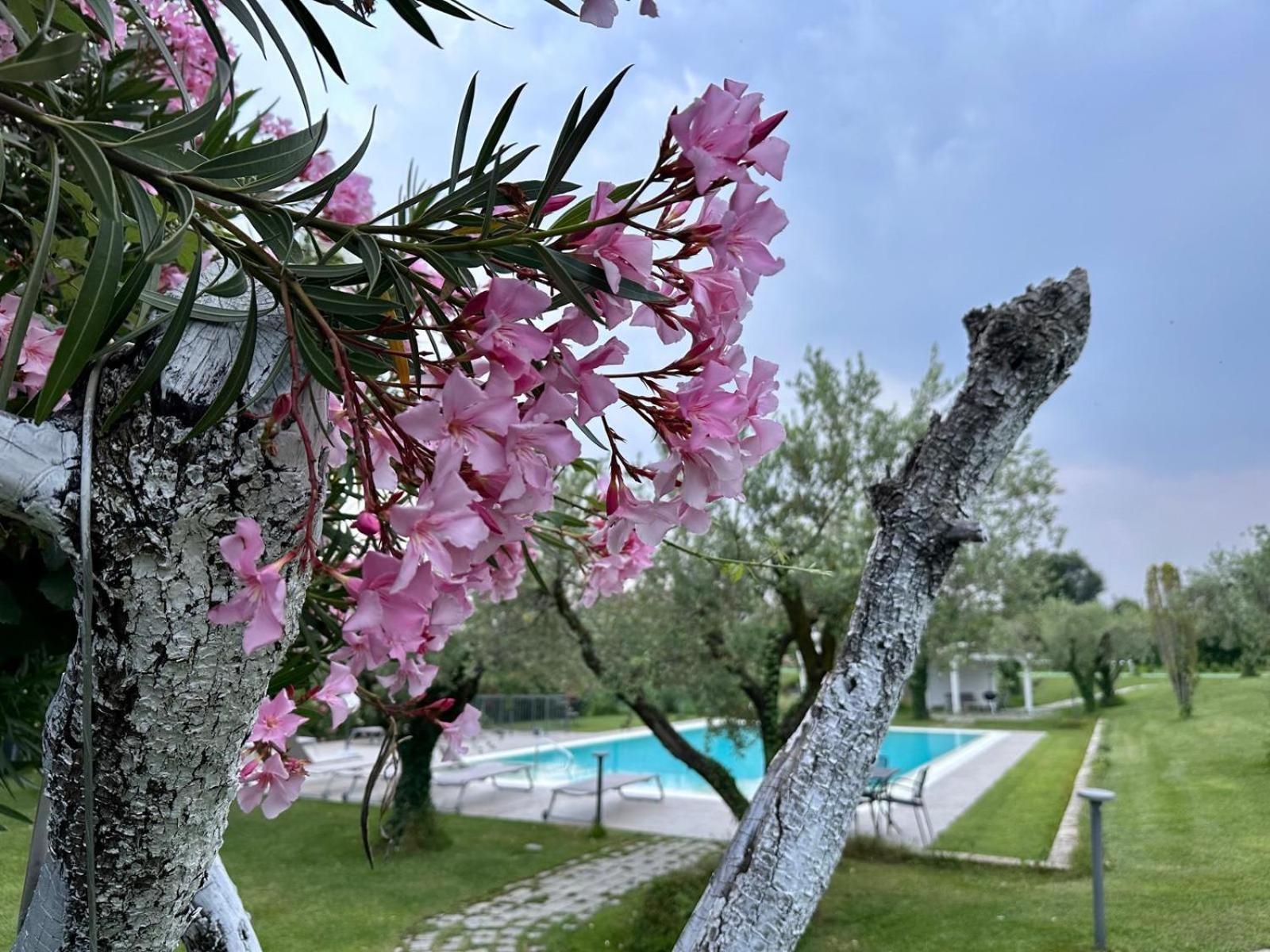 Villa Athena Charme 마네르바 델 가르다 외부 사진